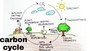 Carbon Cycle