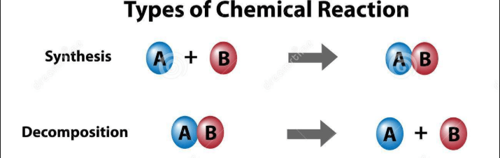 Synthesis and Decomposition Reactions Quiz - Quizizz