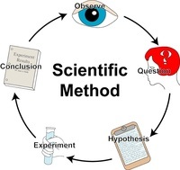 plant biology - Grade 10 - Quizizz