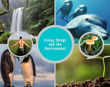 Living Things And The Environment | Quizizz