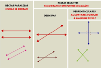 transversal de rectas paralelas - Grado 5 - Quizizz