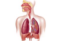 eletrocardiograma - Série 2 - Questionário