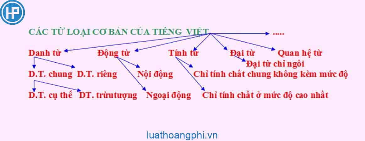 thẩm thấu và săn chắc - Lớp 3 - Quizizz