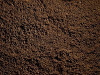 soils Flashcards - Quizizz