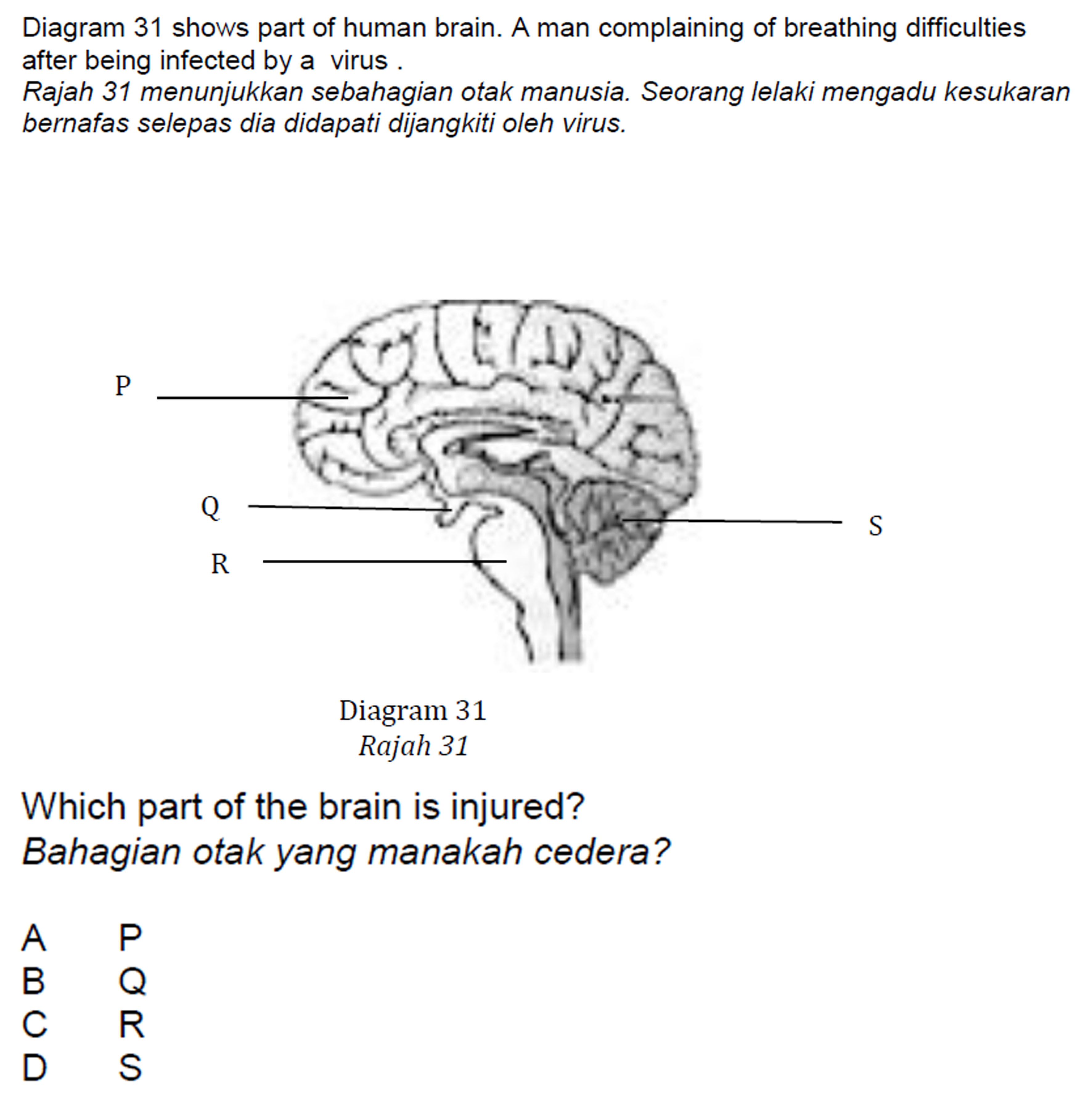 (F4) Chapter 12 [SET 3] | Biology - Quizizz