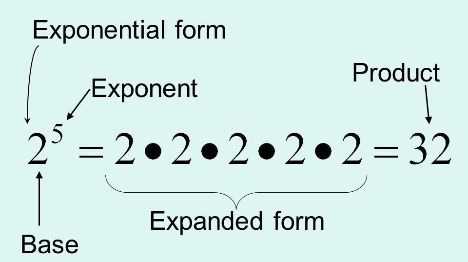 Exponent, Expanded, & Standard Form