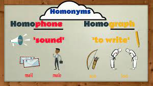 Homophones and Homographs - Year 2 - Quizizz