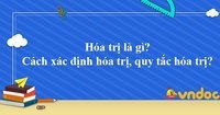 hóa thạch - Lớp 10 - Quizizz