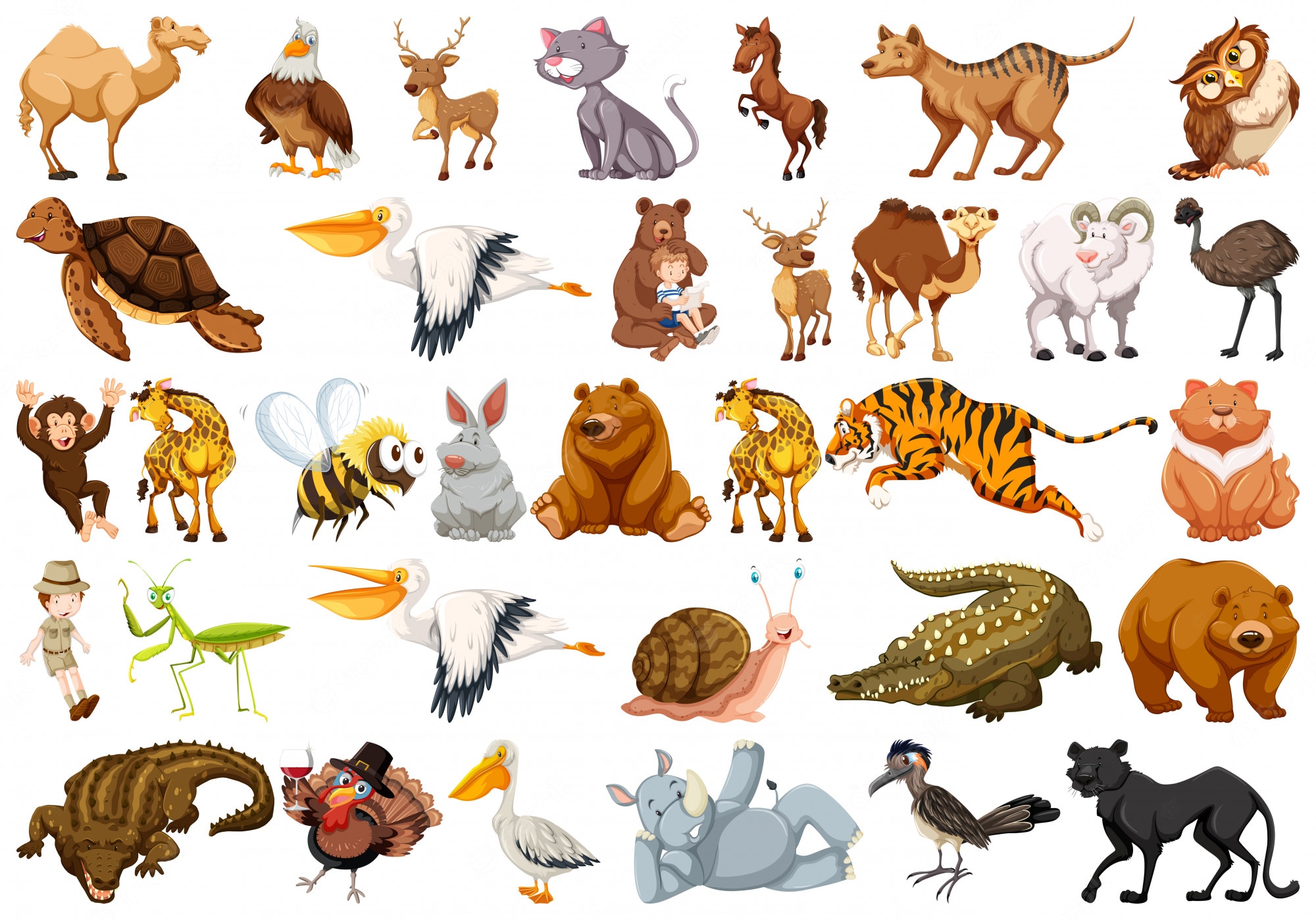 Animals - Year 1 - Quizizz