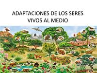 adaptaciones animales - Grado 7 - Quizizz