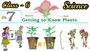 getting to know plants