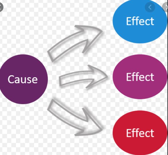 Cause and Effect - Year 8 - Quizizz