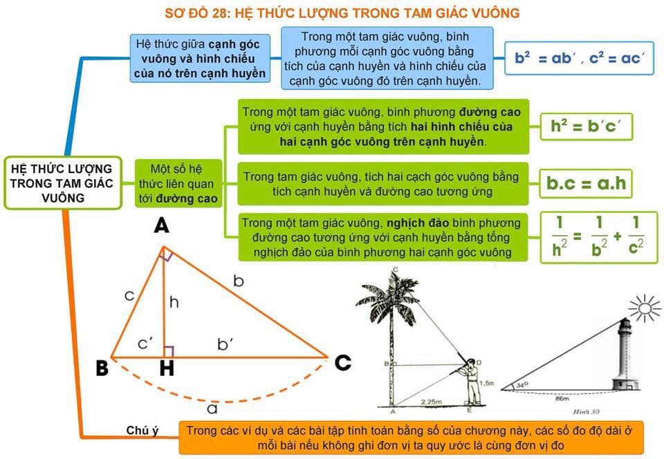 Hình dạng - Lớp 9 - Quizizz