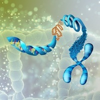 Mutación genética - Grado 11 - Quizizz