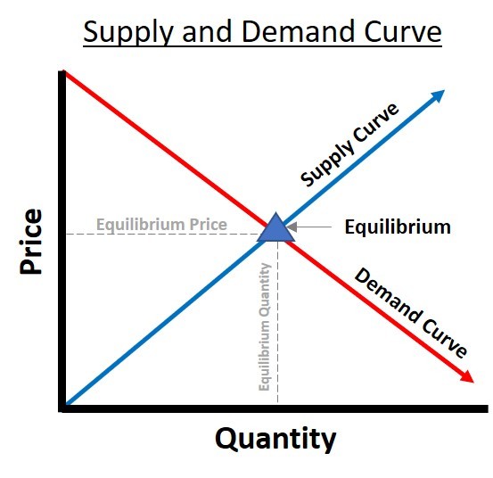 shortage and surplus - Class 10 - Quizizz