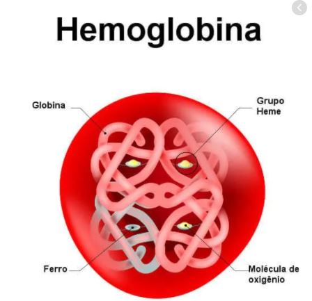 síntese de rna e proteína Flashcards - Questionário