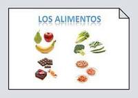 Alimento - Grado 4 - Quizizz