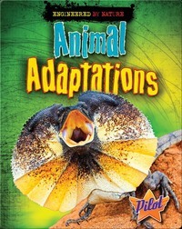 Natural Selection and Adaptations - Year 3 - Quizizz