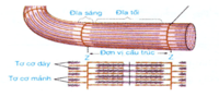 Thứ tự hoạt động - Lớp 8 - Quizizz