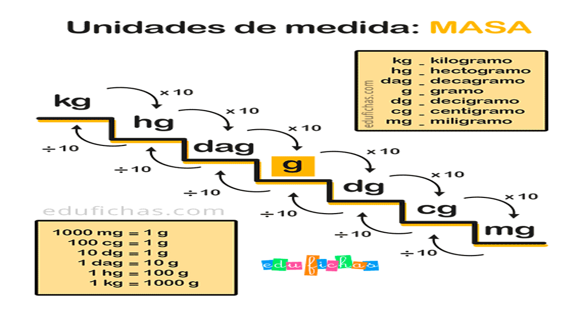 Medidas de peso. | Quizizz