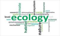 ecology - Class 11 - Quizizz