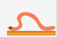 jednostki temperatury - Klasa 5 - Quiz