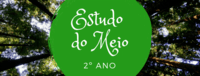 Novo estudo - Série 2 - Questionário