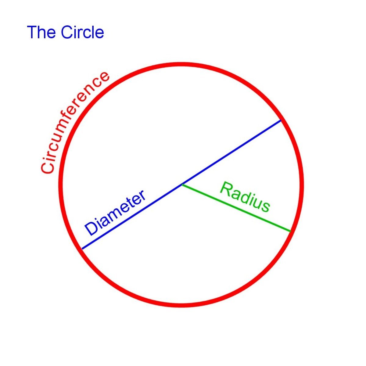 Circles & Circumference... How do I find that? - Quizizz