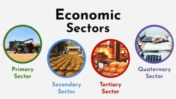secondary sector businesses