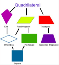 Quadrilaterals - Year 3 - Quizizz