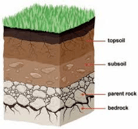 soils - Class 6 - Quizizz