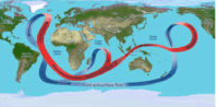 movements of ocean water - Year 9 - Quizizz