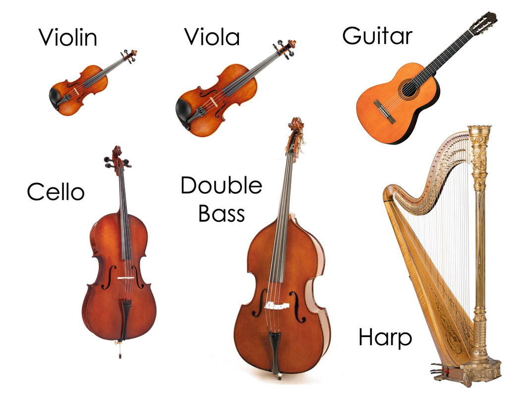 String Instruments | Quizizz