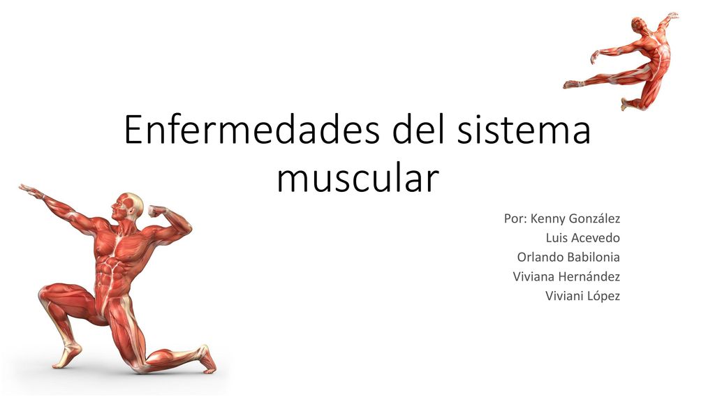 Lesiones y enfermedades del sistema muscular