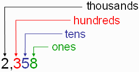 chromosome structure and numbers - Class 3 - Quizizz