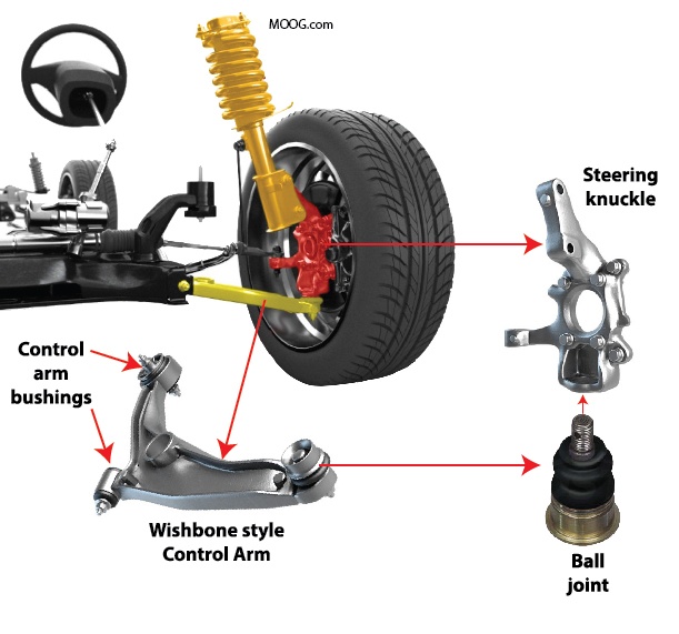 Suspension Construction - Quizizz