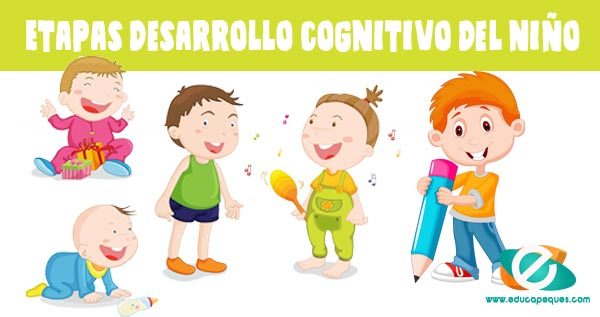 Teor a del desarrollo cognitivo seg n piaget Quizizz