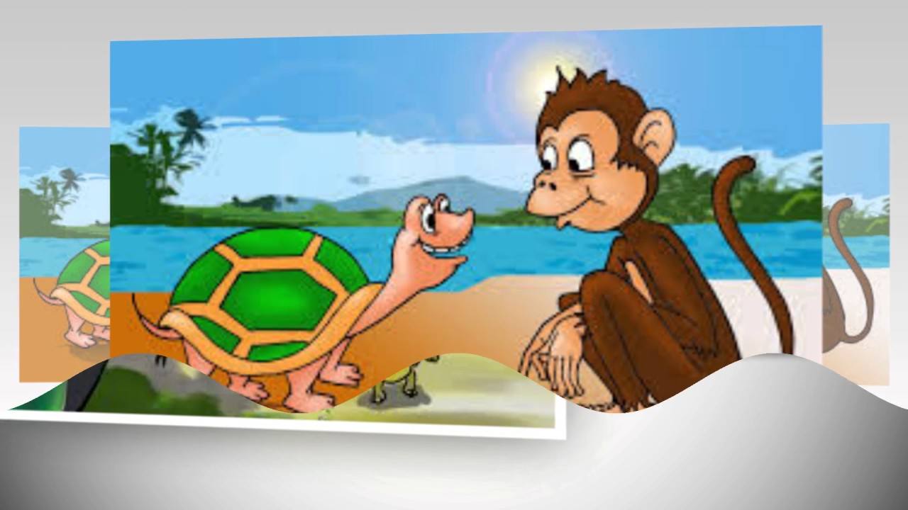 The Turtle And The Monkey | Quizizz