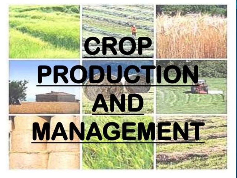 Class 8 crop production and management
