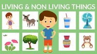 living and non living things - Grade 1 - Quizizz