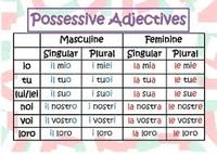 Singular Possessives - Grade 10 - Quizizz