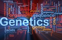 variación genética Tarjetas didácticas - Quizizz