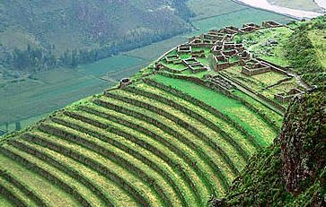 los incas agricultura