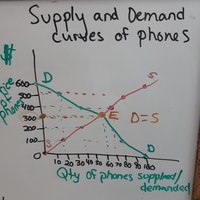 Fundamentals and Building Blocks - Year 10 - Quizizz