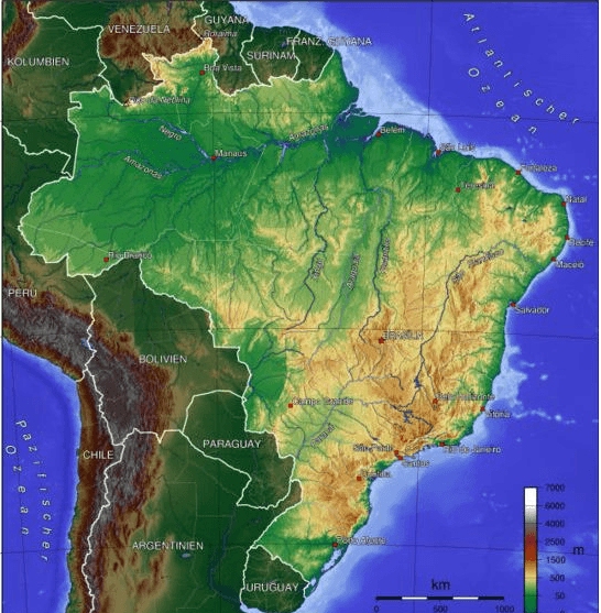 Forças e Movimento - Série 5 - Questionário