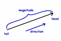 vectors - Grade 8 - Quizizz