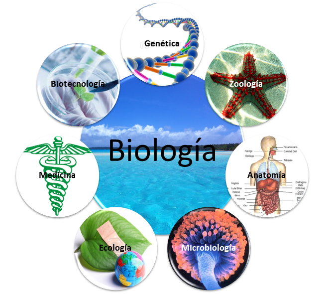 biología del comportamiento - Grado 3 - Quizizz