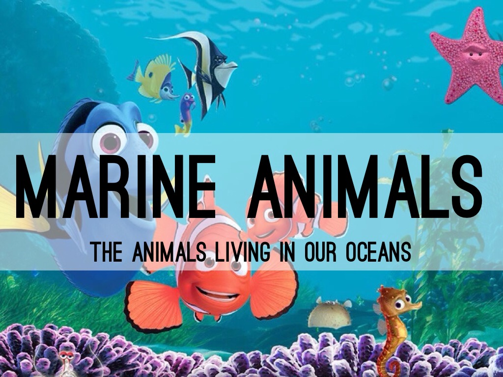 marine animals