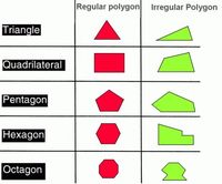 regular and irregular polygons - Year 4 - Quizizz