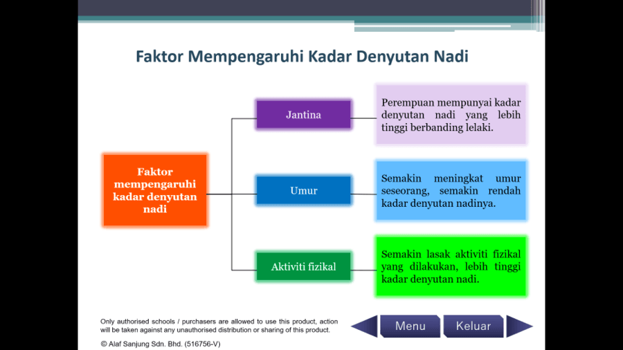 Faktor Mempengaruhi Kadar Denyutan Nadi Edentinconway